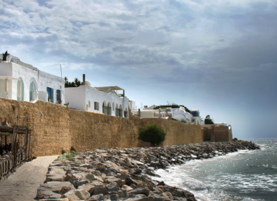 Picture of the Medina of Hammamet from Outside