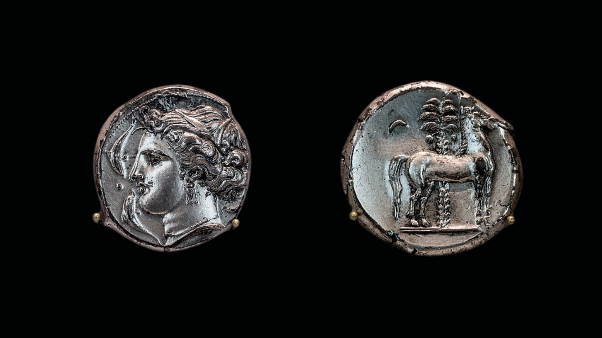 Carthaginian Coinage: Jenkins, Series II (ca. 350-320/315 BC): silver tetradrachm. Altes Museum, Berlin. Obverse: wreathed female head with two dolphins, modelled on Syracusan Arethusa. Reverse: Horse standing in front of a palm tree and beside a star.