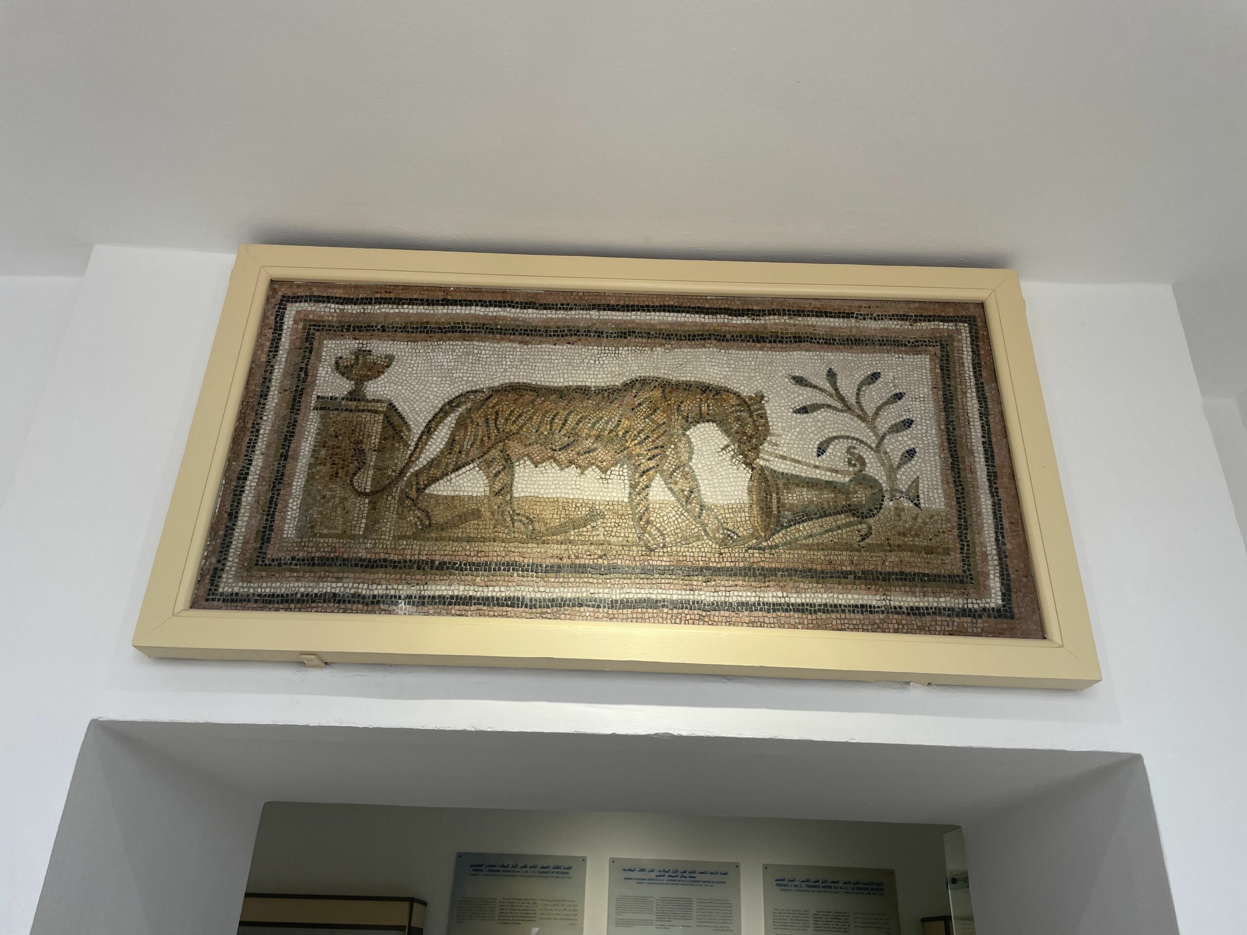 Nabeul Museum Mosaic