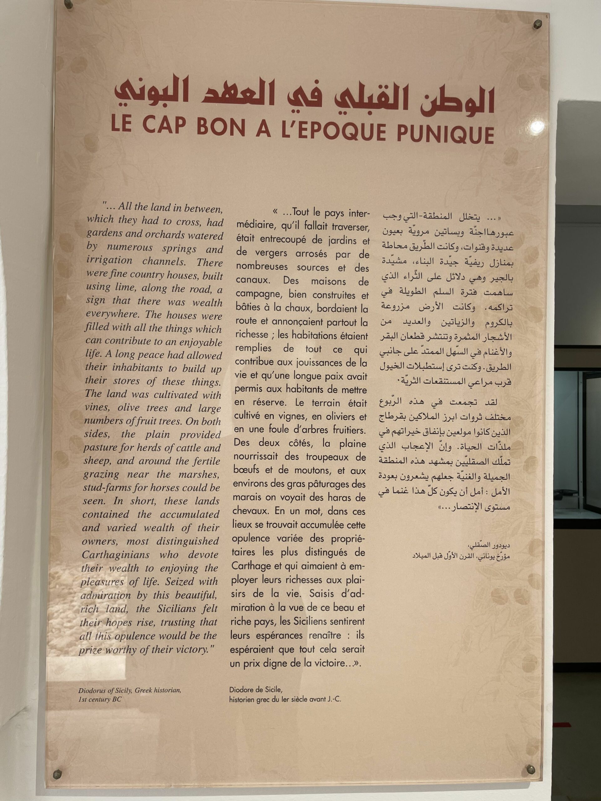 Nabeul Museum Artifact