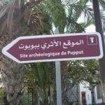 Pupput archaeological site Hammamet 12