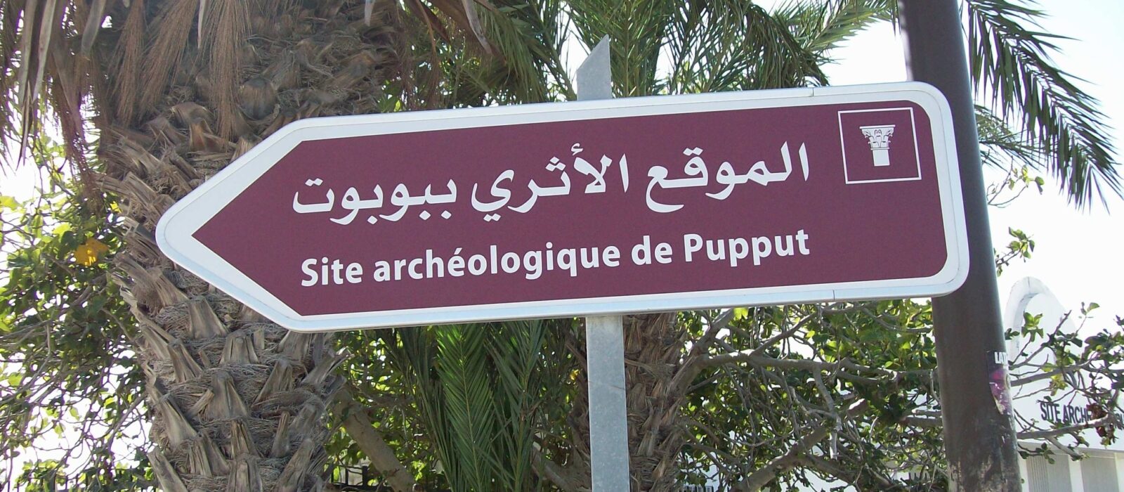 Pupput archaeological site Hammamet 12