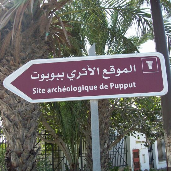 Pupput archaeological site Hammamet 12