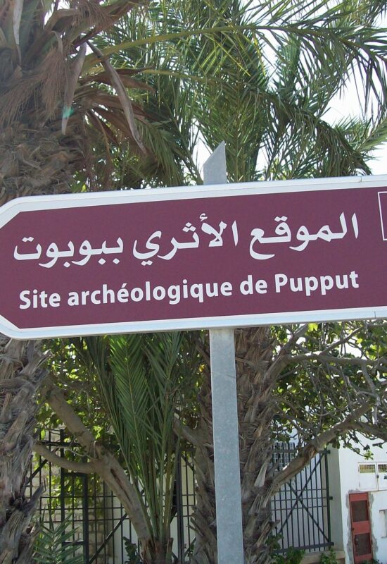 Pupput archaeological site Hammamet 12