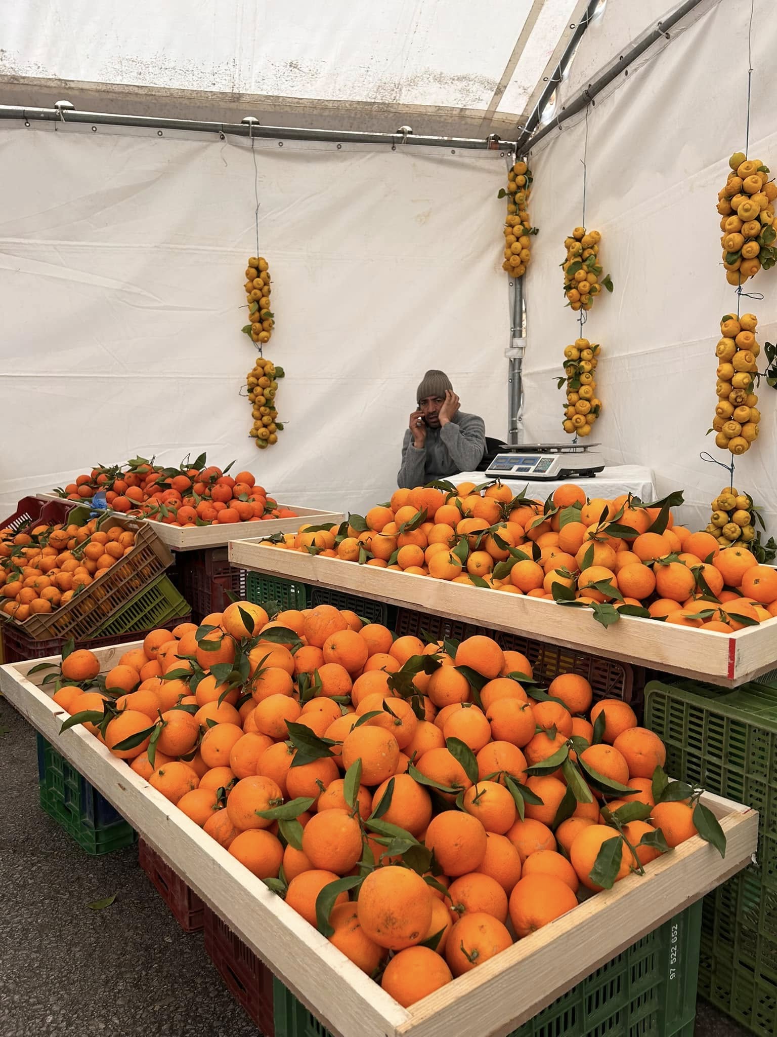 Traditional orange blossom distillation at Hammamet Citrus Festival 2026