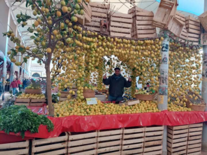Artisanal citrus products at Hammamet Citrus Festival 2026