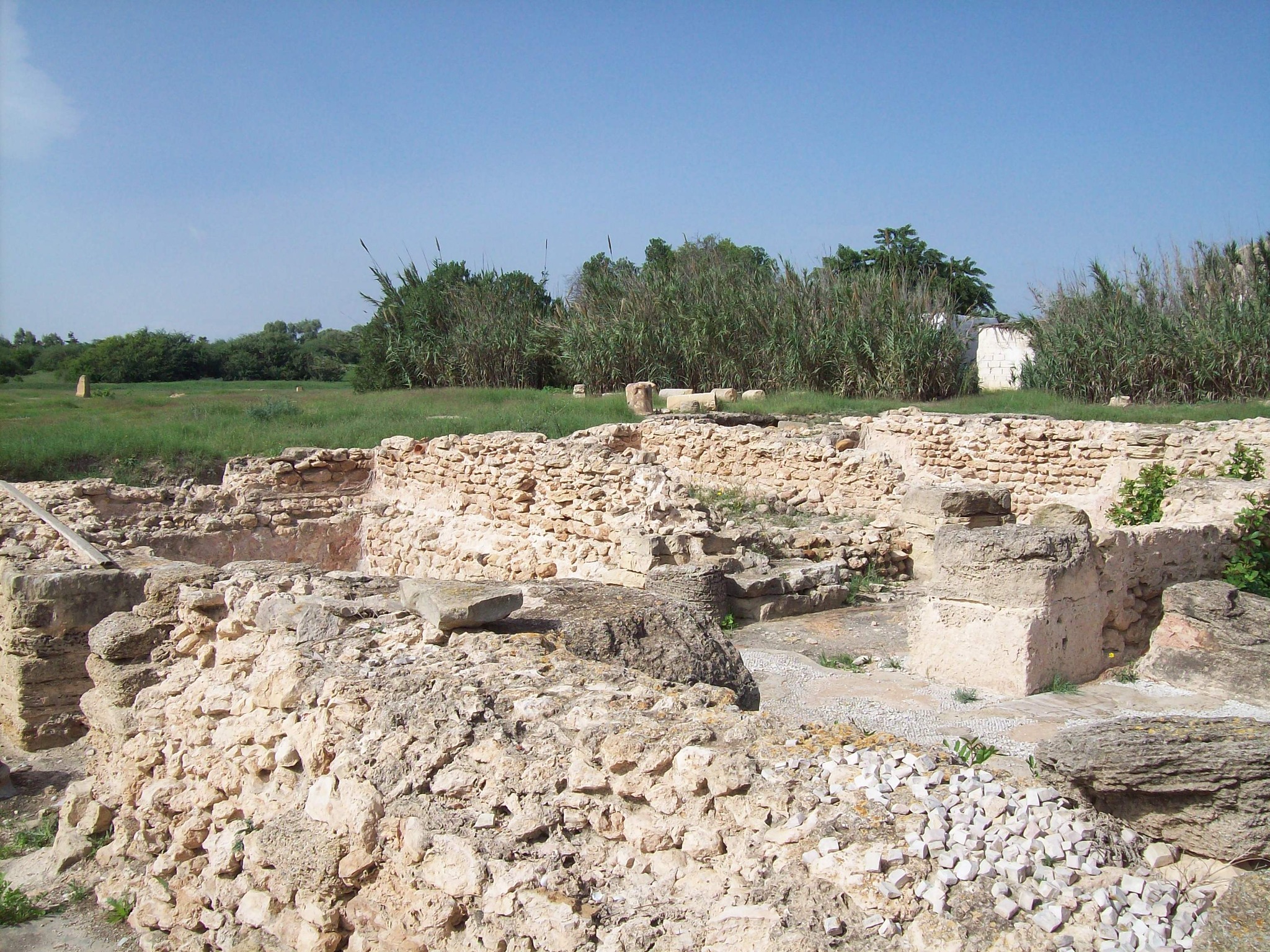 Visitors exploring Pupput Archaeological Site Hammamet